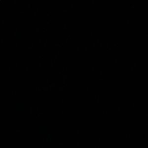 Meet your Posher, Manuel